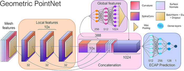 General overview of the geometric deep learning network architecture