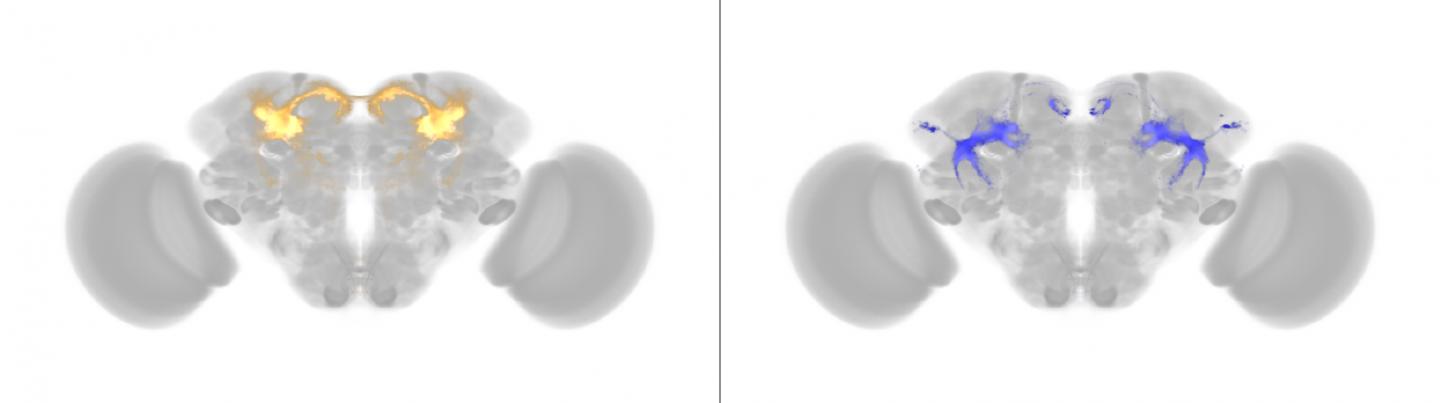 Science Image