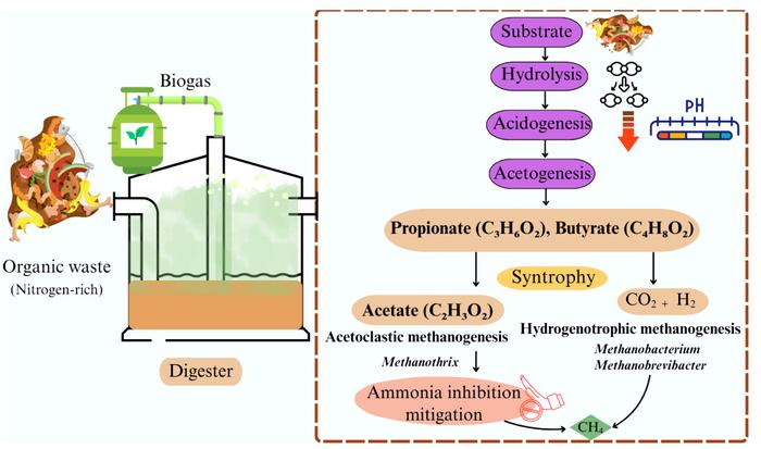 Mitigation of ammonia inhibition during anaerobic digestion: a comprehensive update