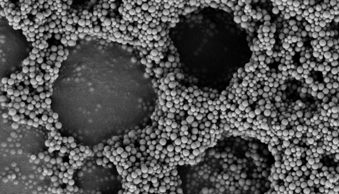 Molecular burdocks: peptides guide self-assembly on the micrometre scale
