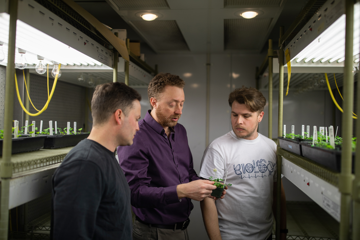 UTM_Glue_Clover Lab