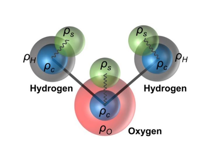 Water Molecule