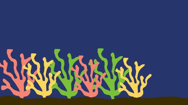 How Fish Minimize Their Visibility to Predators in Open Waters (3 of 3)
