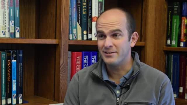 How a New Leukemia Drug Undermines Cancer Cells