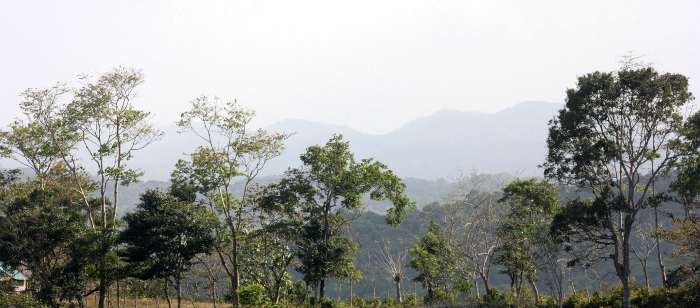 Landscape