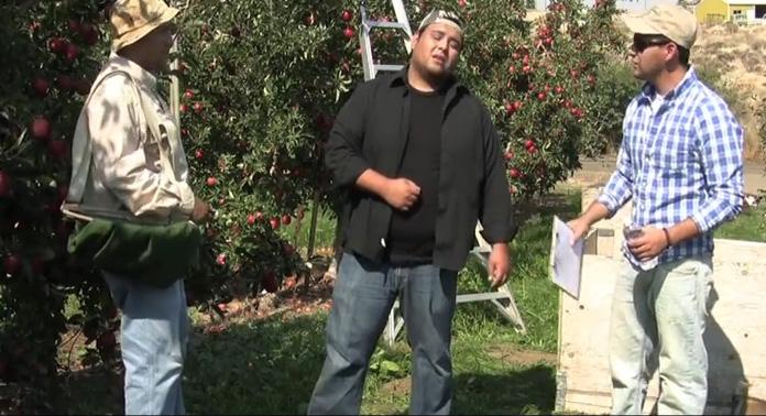 Treating Heat Illness in An Orchard