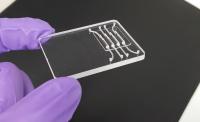 RT-LAMP Chip