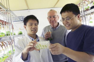 Dr. William Snell, et al., UT Southwestern Medical Center