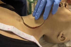 3D-printed tissue