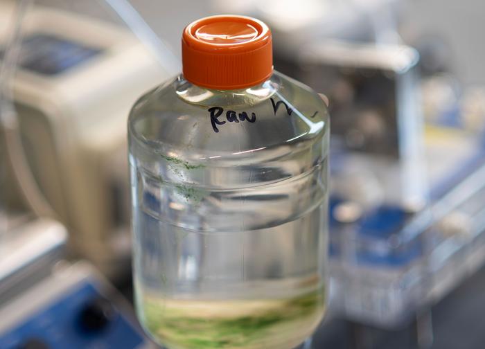 Reclaimed wastewater in the lab