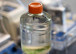 Reclaimed wastewater in the lab