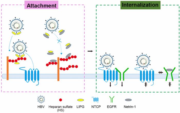 Schematic of the research concept
