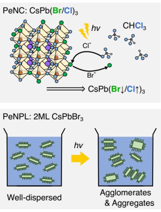 Figure 1. Photoinduced structural and compositional changes in perovskite nanomaterials