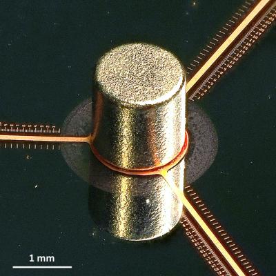MAPT Sample