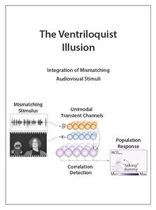 The ventriloquist illusion