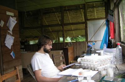 Student Researcher
