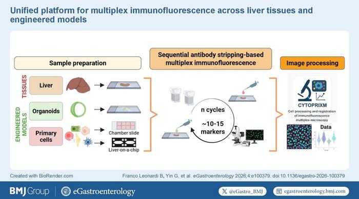 Visual abstract