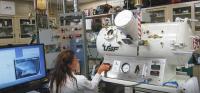 Hyperbaric Environmental Chamber Tests Impact of Ketogenic Supplementation on Seizures