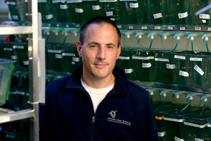 Philipp Niethammer, PhD