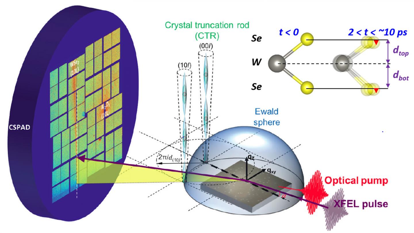 Ultrafast Surface X-Ray Probe