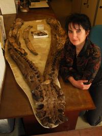 Dr. Judyth Sassoon, University of Bristol (1 of 2)