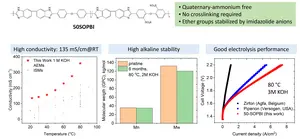 Structure and Performance of 50SOPBI-Based Ion-Solvating Membrane