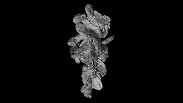 3-D Video Illustration