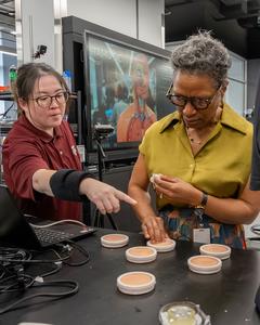 Sampes simulating human tissue