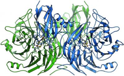 Nature: How the N2O Greenhouse Gas Is Decomposed