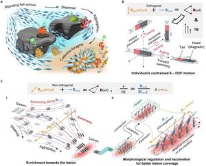 Miniature fish-like magnetic soft robot swarm’s aggregation and optimal coverage of lesions