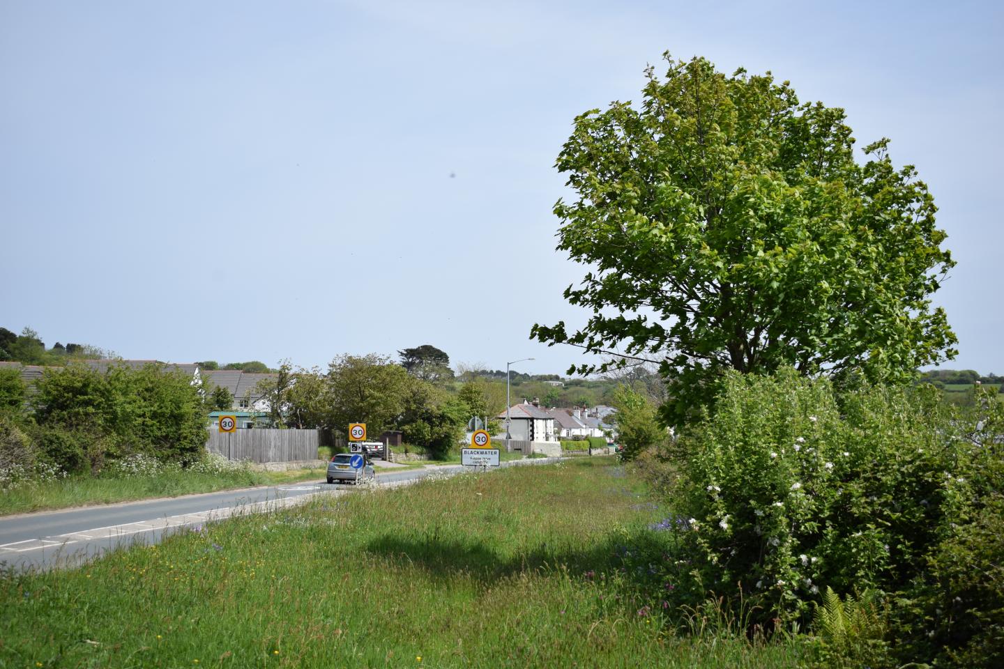 Road verge