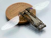 Butterfly-Robot Coin Scale