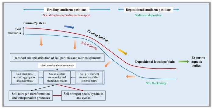 Role of soil erosion in biogeochemical nitrogen cycles: a mini review