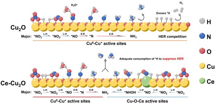 Ce-Cu2O electrocatalyst enables pathway-regulated nitrate-to-ammonia conversion by balancing E-R and L-H hydrogenation mechanisms.
