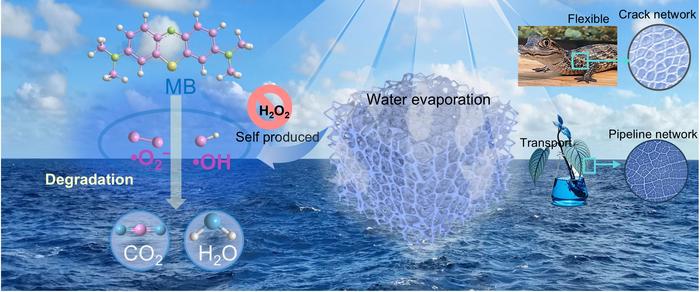Turning Cracks into Treasures: Clever Use of Crack Structures to Create Highly Efficient Solar-Powered Water Treatment Systems