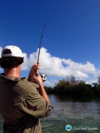 Confronting Poaching on the Great Barrier Reef