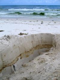 Sampling Microbial Communities (2 of 2)
