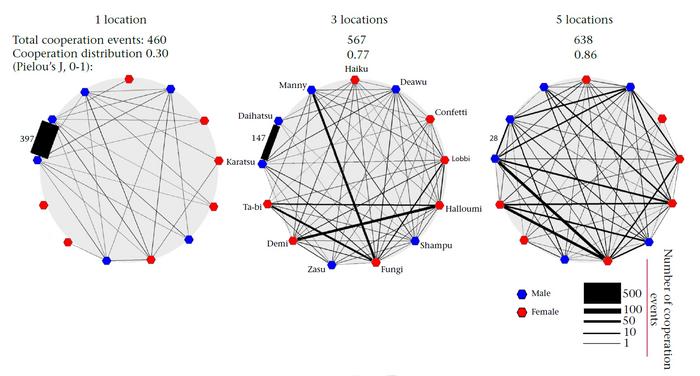 Changing cooperation networks