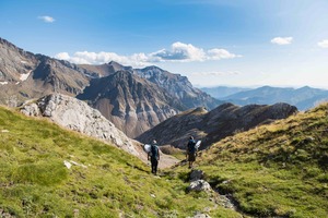 Researchers in the field