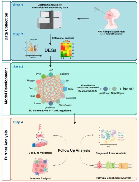 Workflow for building a machine learning-based model to predict radiotherapy sensitivity in nasopharyngeal carcinoma (NPC).