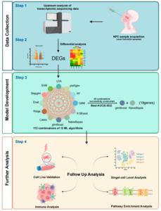 Workflow for building a machine learning-based model to predict radiotherapy sensitivity in nasopharyngeal carcinoma (NPC).