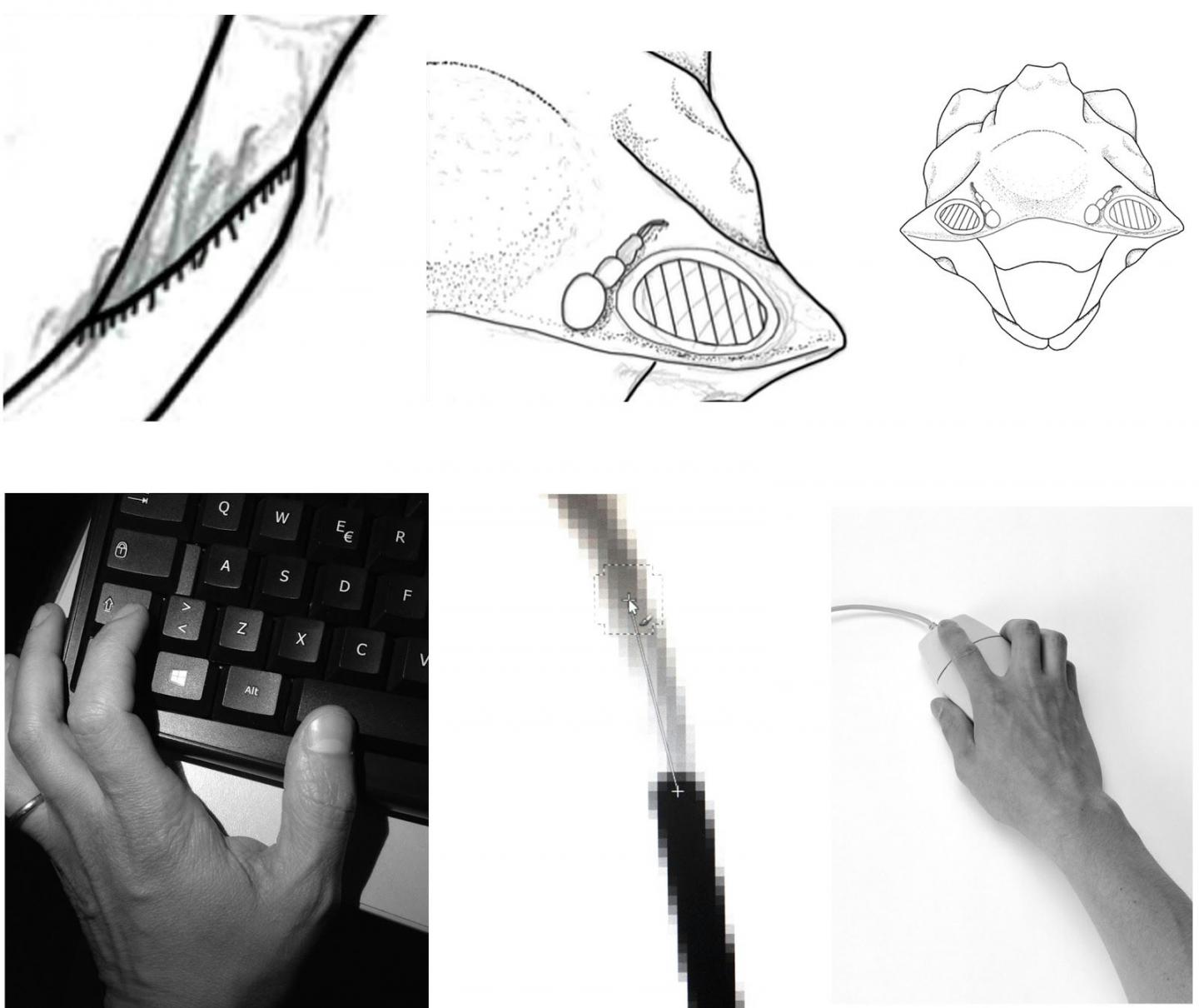 Digital Ink