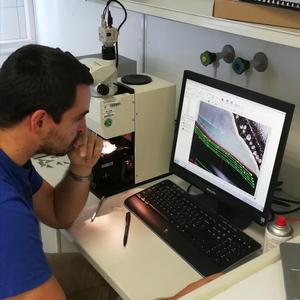 Researcher in the Lab