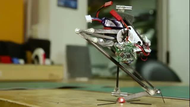 Salto, the Leaping Robot