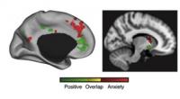 Positive and Anxious Feelings