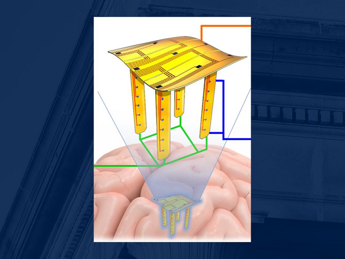 A newly developed sensor electrode device