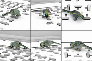 Chickadee seed caching with 3D postural tracking