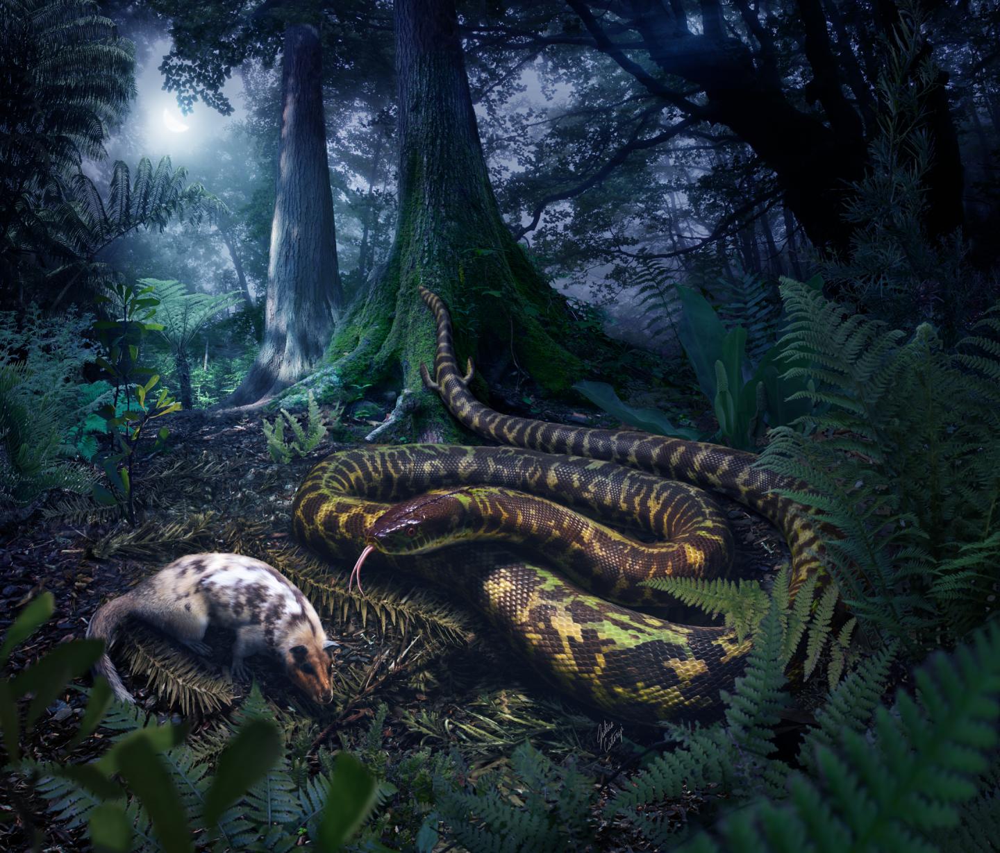Ancestral Snake