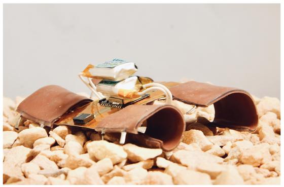 Getting a Move On: Soft Robots Driven by Shape Memory (5 of 5)