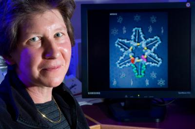 Kathleen Trybus, Ph.D., University of Vermont